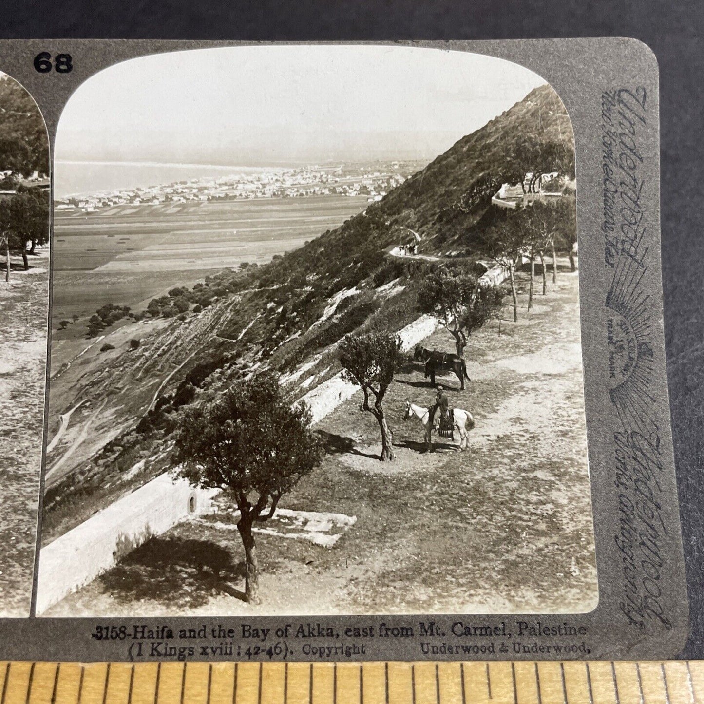 Antique 1910s Desert Man On Horseback Israel Stereoview Photo Card P4412