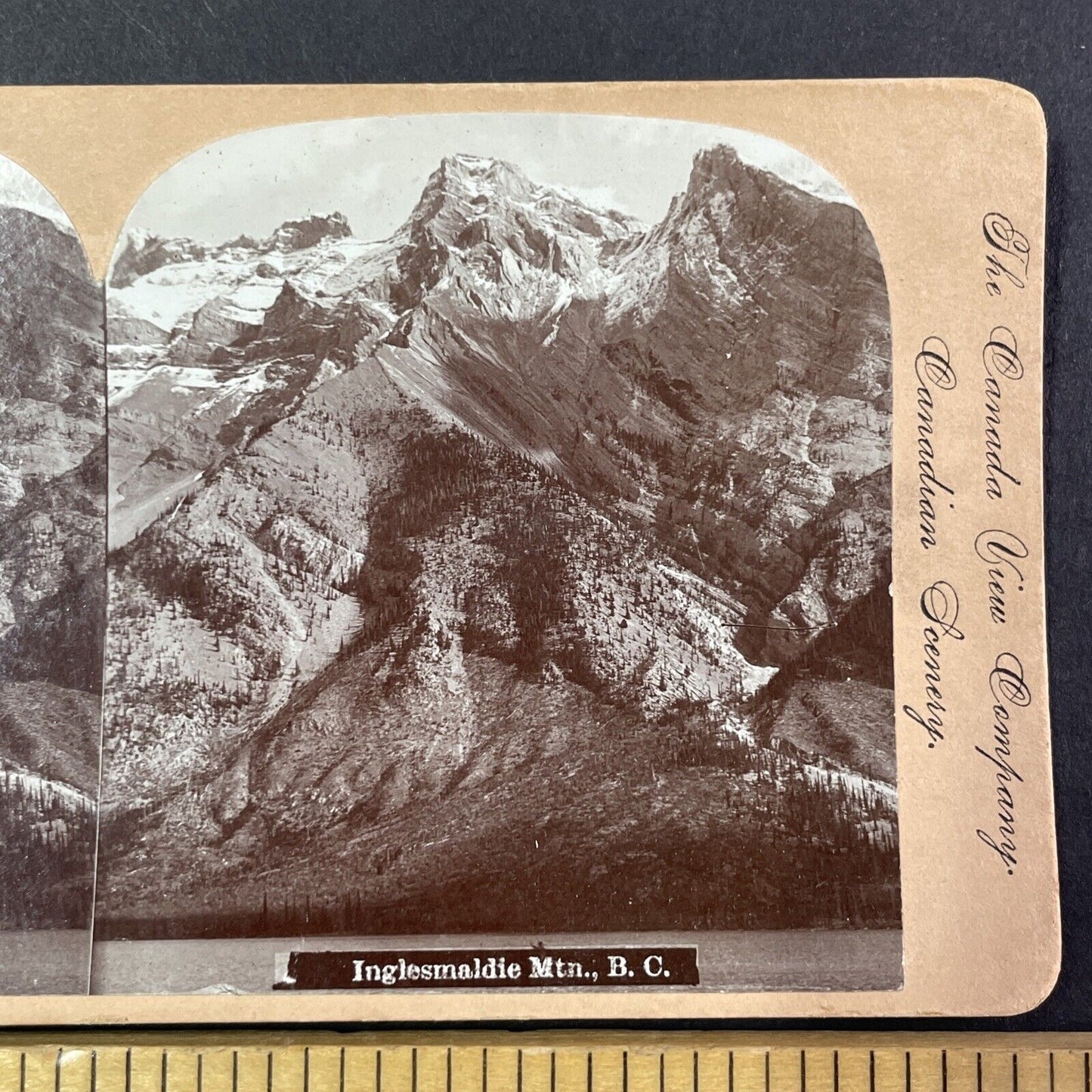 Mount Inglismaldie Alberta Canada Stereoview CPR Rail Views c1899 Y2101