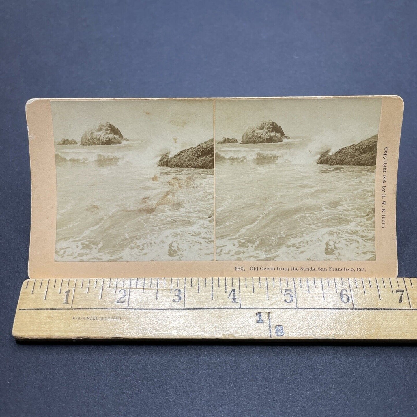 Antique 1895 San Francisco Seal Rocks Lands End Stereoview Photo Card P1888