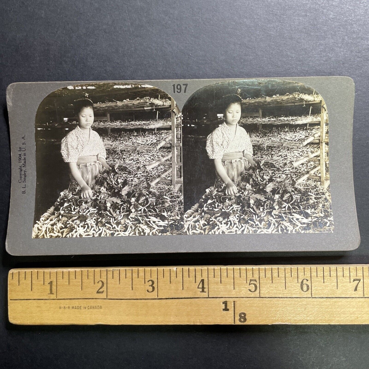 Antique 1904 Girl On Silkworm Farm Japan Stereoview Photo Card P1431