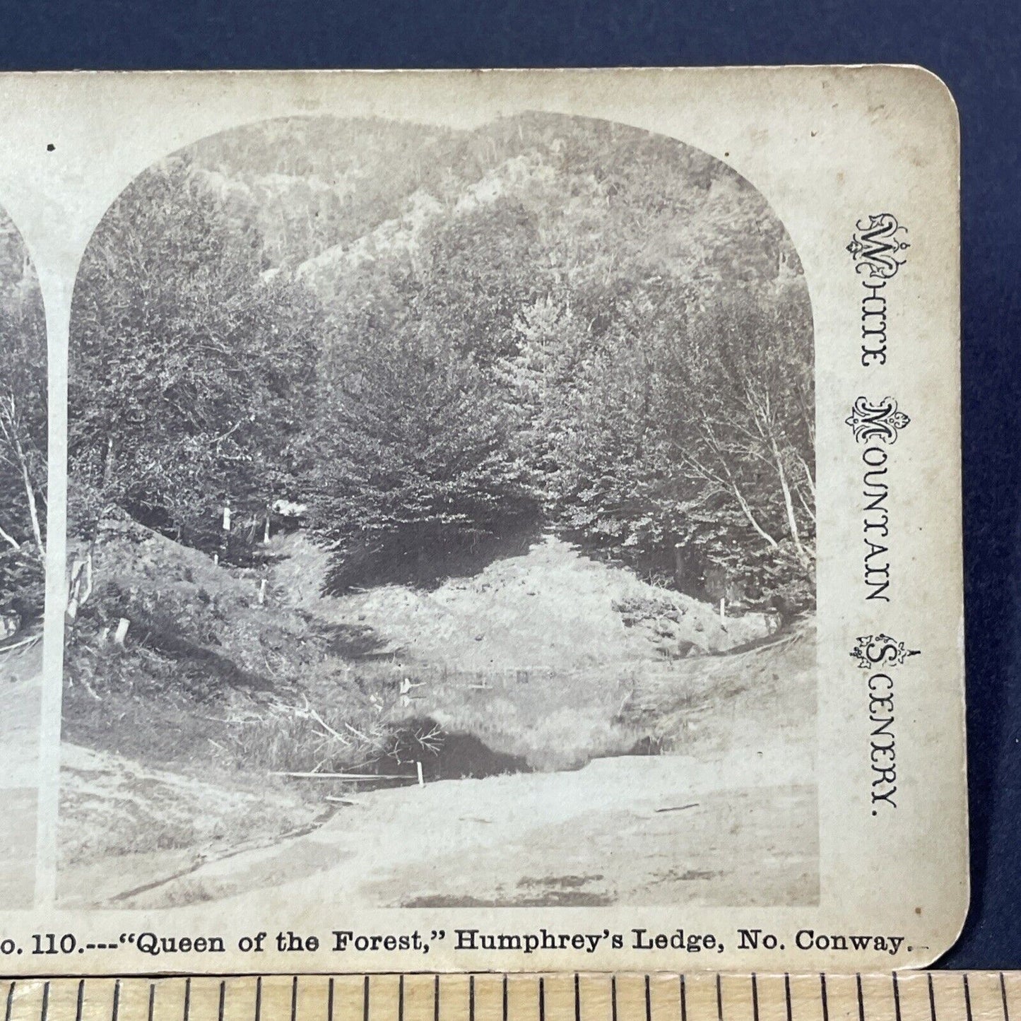 Antique 1870s Humphrey's Ledge North Conway NH Stereoview Photo Card V1777