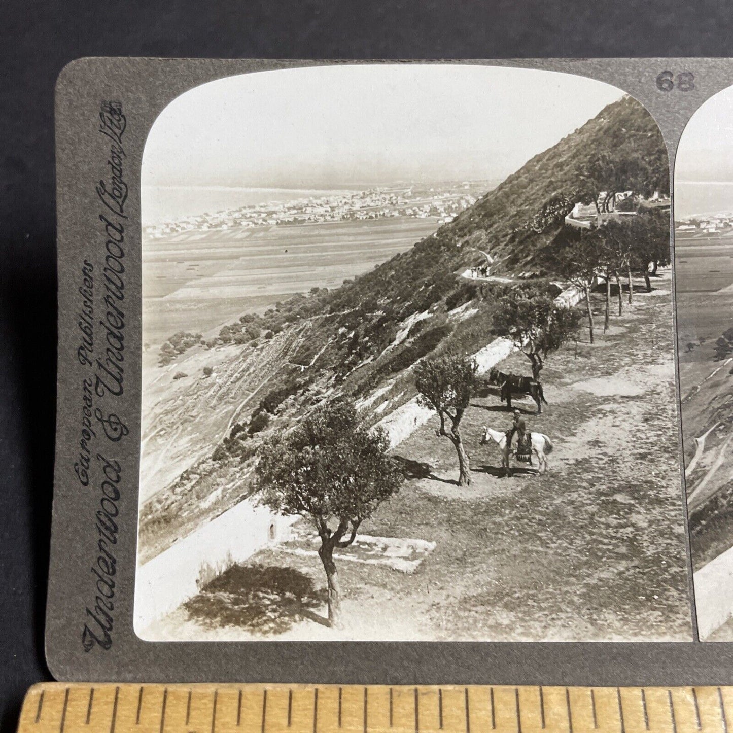 Antique 1910s Desert Man On Horseback Israel Stereoview Photo Card P4412