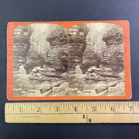 Tree Debris Watkins Glen New York Stereoview George F. Gates Antique c1865 Y1750