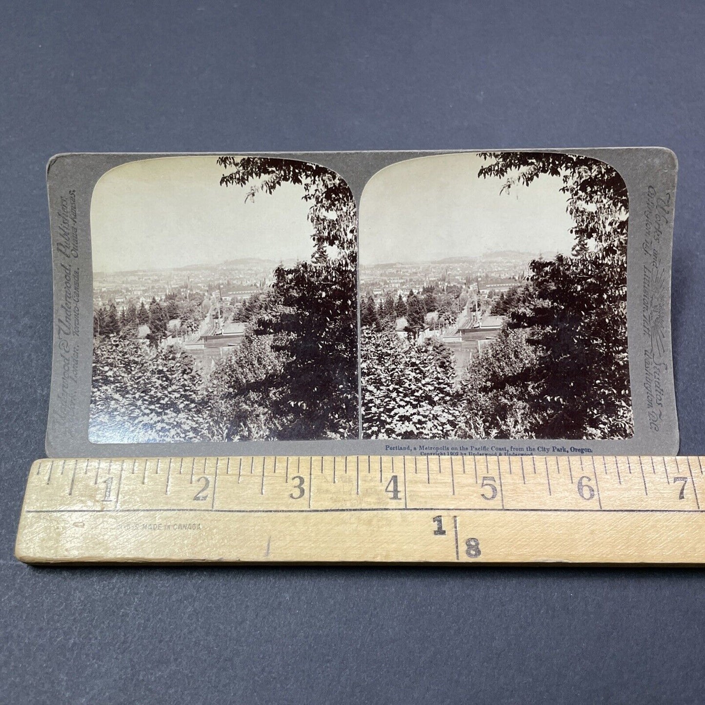 Antique 1902 Portland Oregon City View Stereoview Photo Card V1858