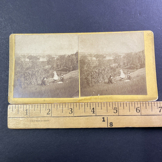 Women Picnic In Boscawen NH Stereoview MC Harriman Antique c1875 X1219