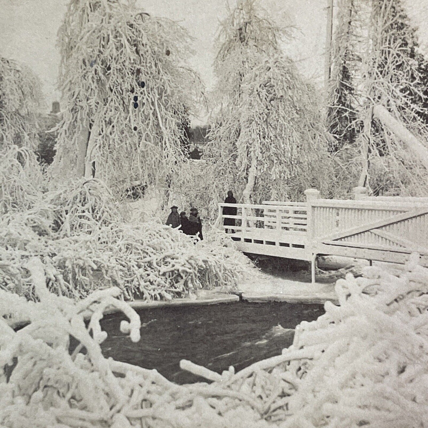 Snow Covered and Frozen Luna Island Stereoview Niagara Falls c1893 Y2147