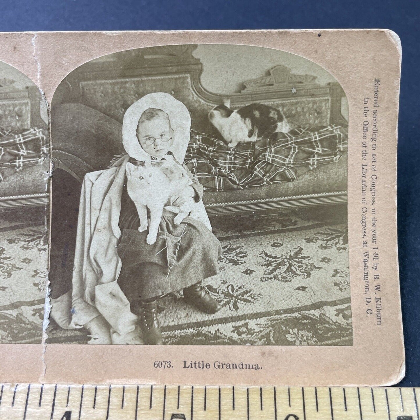 Antique 1891 Little Girl Dresses As Grandma With Cats Stereoview Photo Card 3082