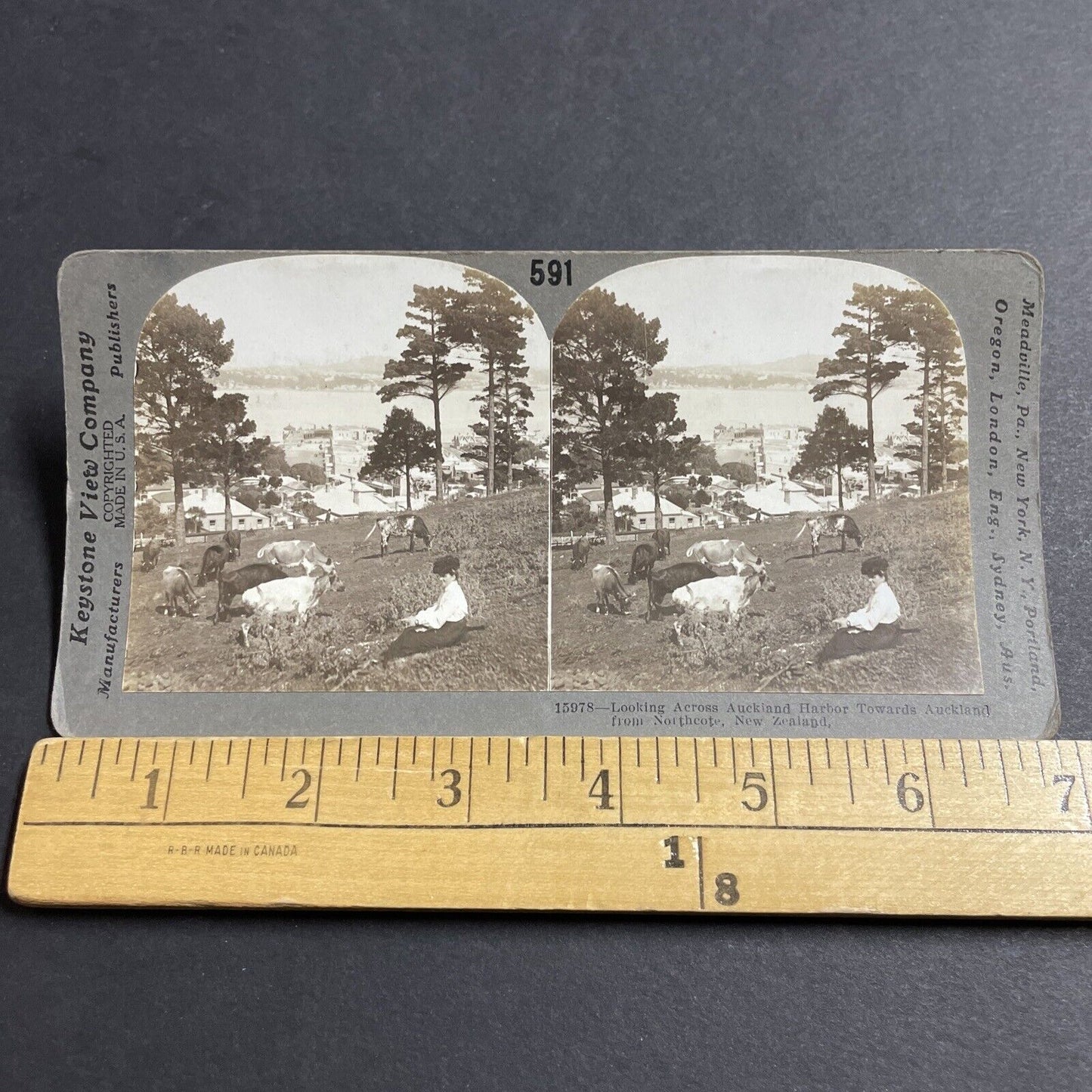 Antique 1911 Northcote Auckland New Zealand Park Stereoview Photo Card P5154