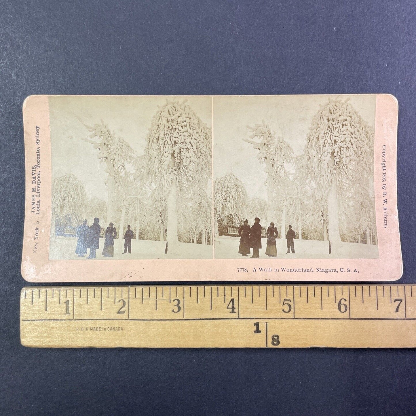 Ice Frozen Trees Niagara Falls New York Stereoview Antique c1893 Y1860