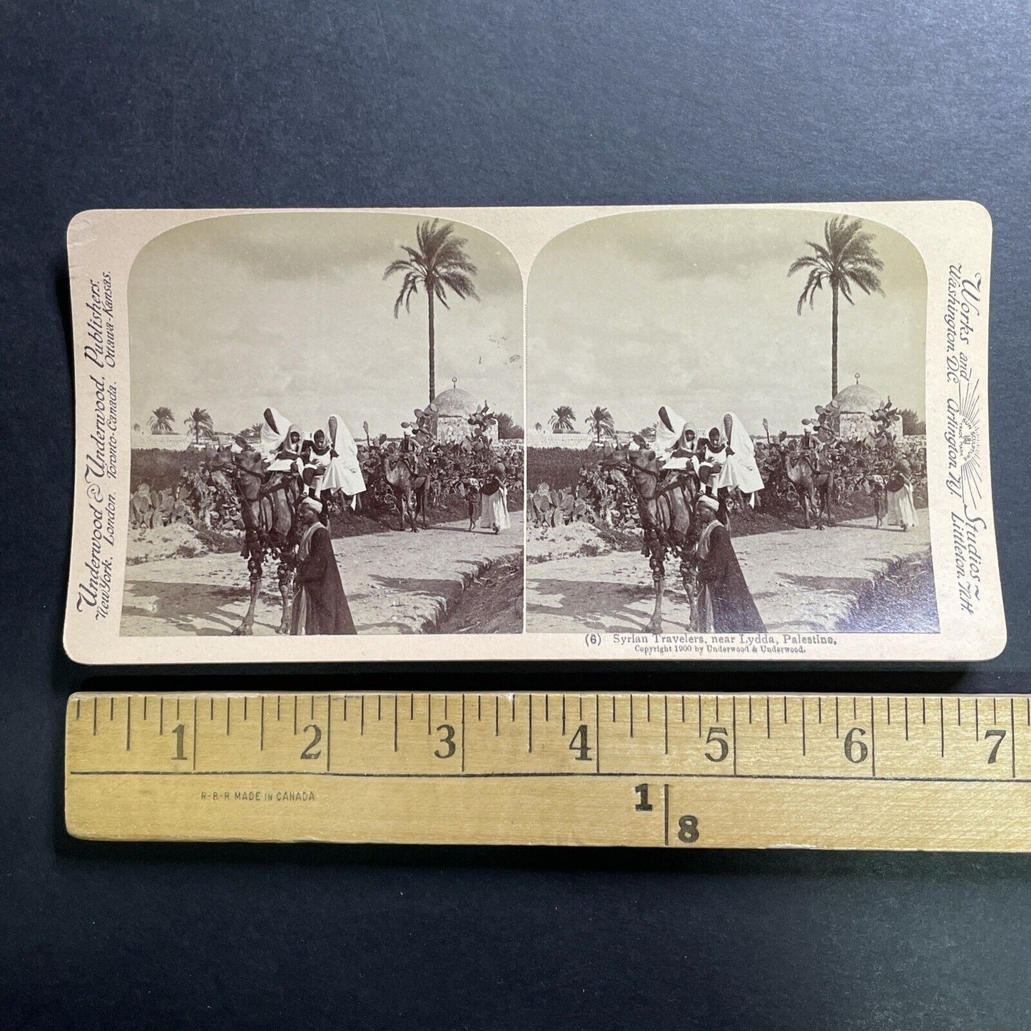 Antique 1900 Syrian Family On Camel Lydda Israel  Stereoview Photo Card P1390