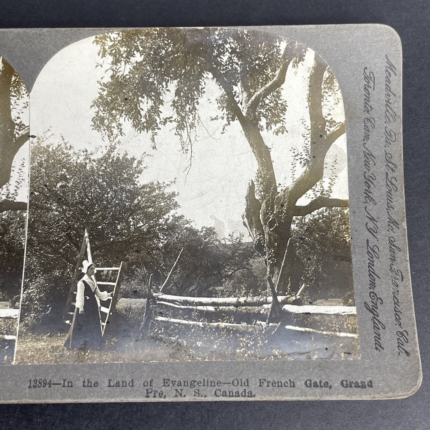 Antique 1903 Christian Woman Grand-Pré Nova Scotia Canada Stereoview Photo PC636