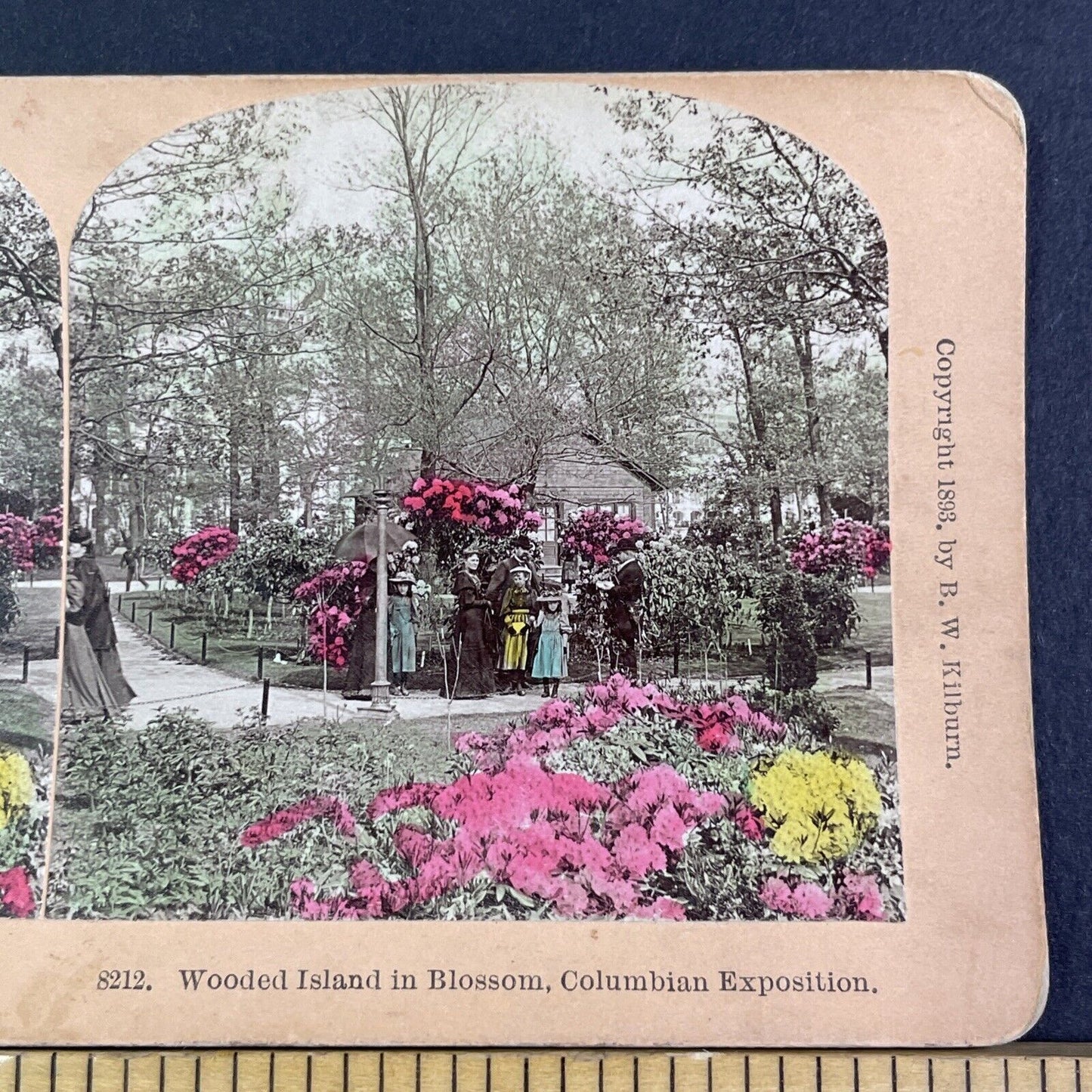 Wooded Island Chicago Illinois Stereoview Jackson Park Antique c1893 X3135