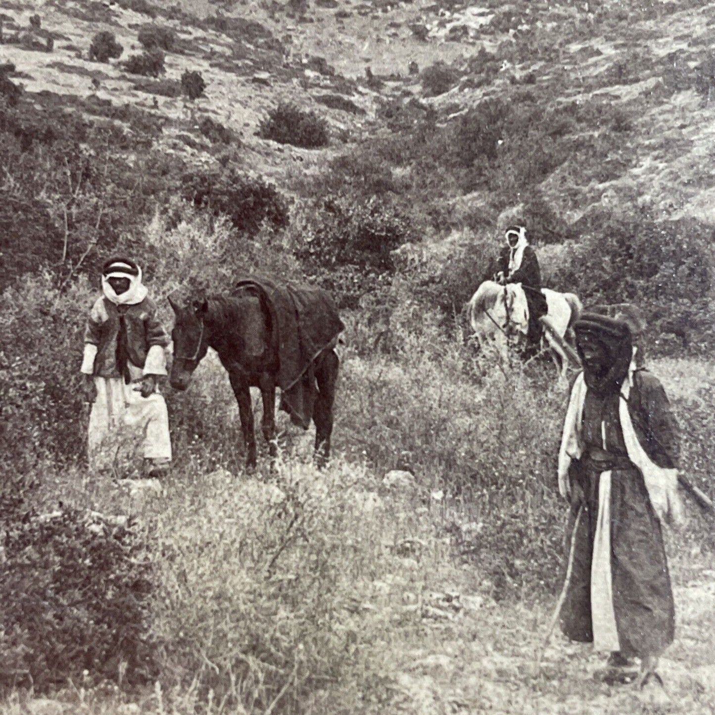 Antique 1890s Horseback Desert Nomads In Syria Stereoview Photo Card P3879