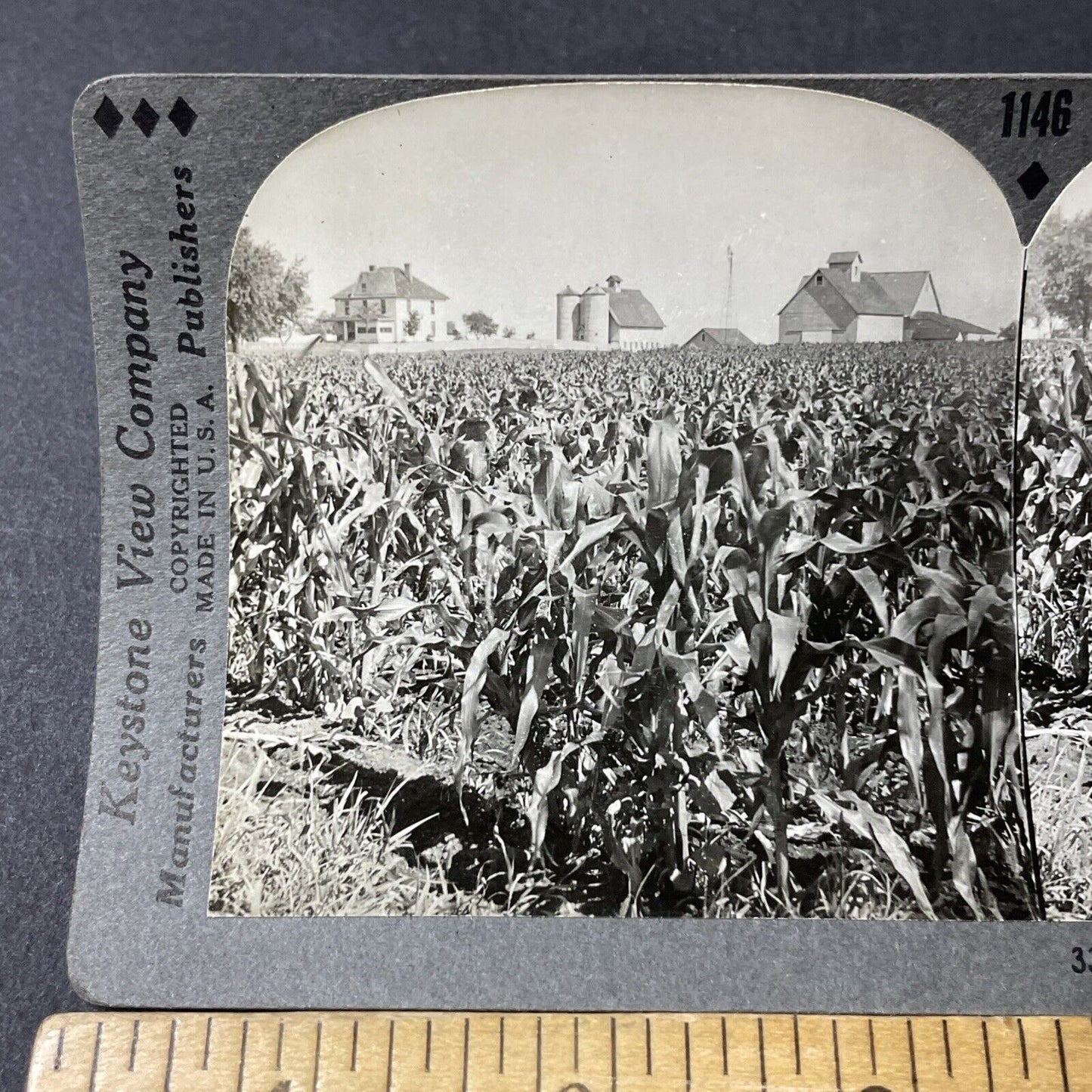 Antique 1910s Corn Farm Outside Bradford Iowa Stereoview Photo Card V2592