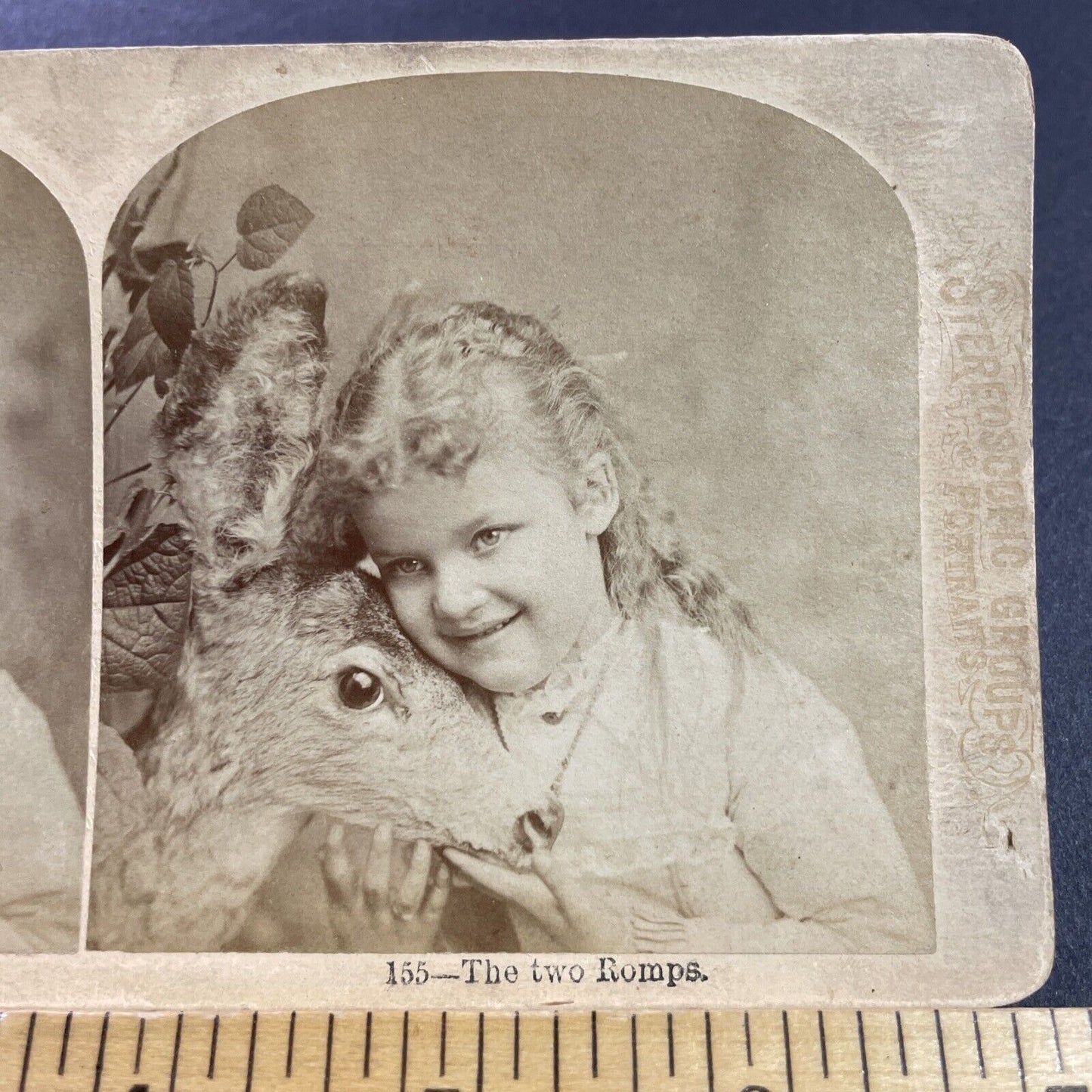 Antique 1880s Child Hugs A Stuffed Dead Deer Stereoview Photo Card P4040