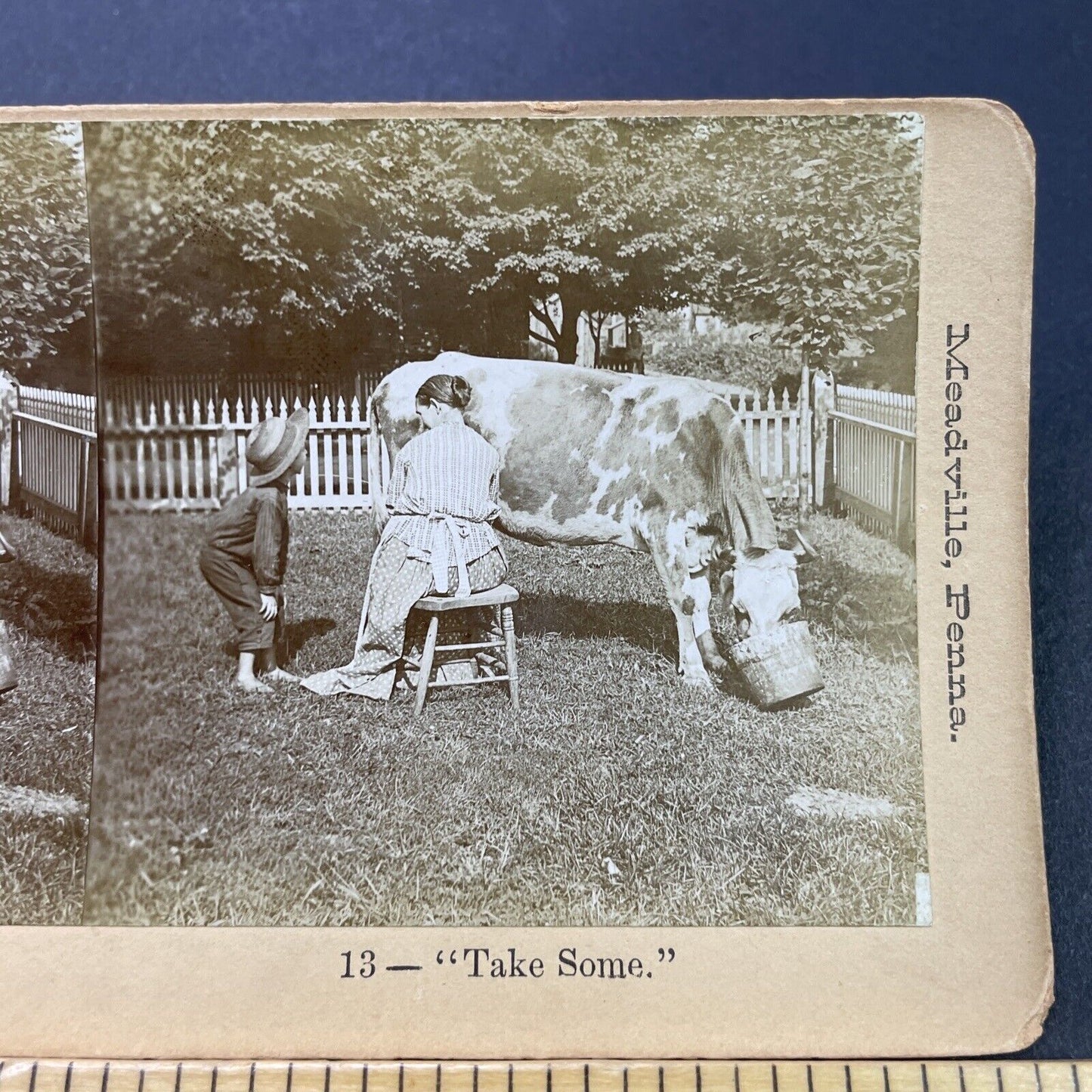 Antique 1893 Woman Squirts Milk Into Boy's Mouth Stereoview Photo Card P3117