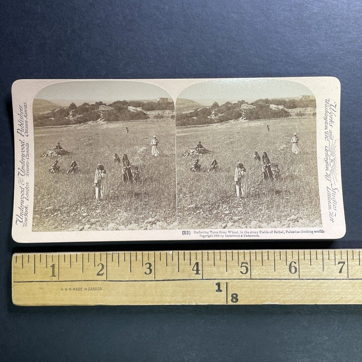 Antique 1900 Village Of Bethel Israel Palestine Stereoview Photo Card P1383