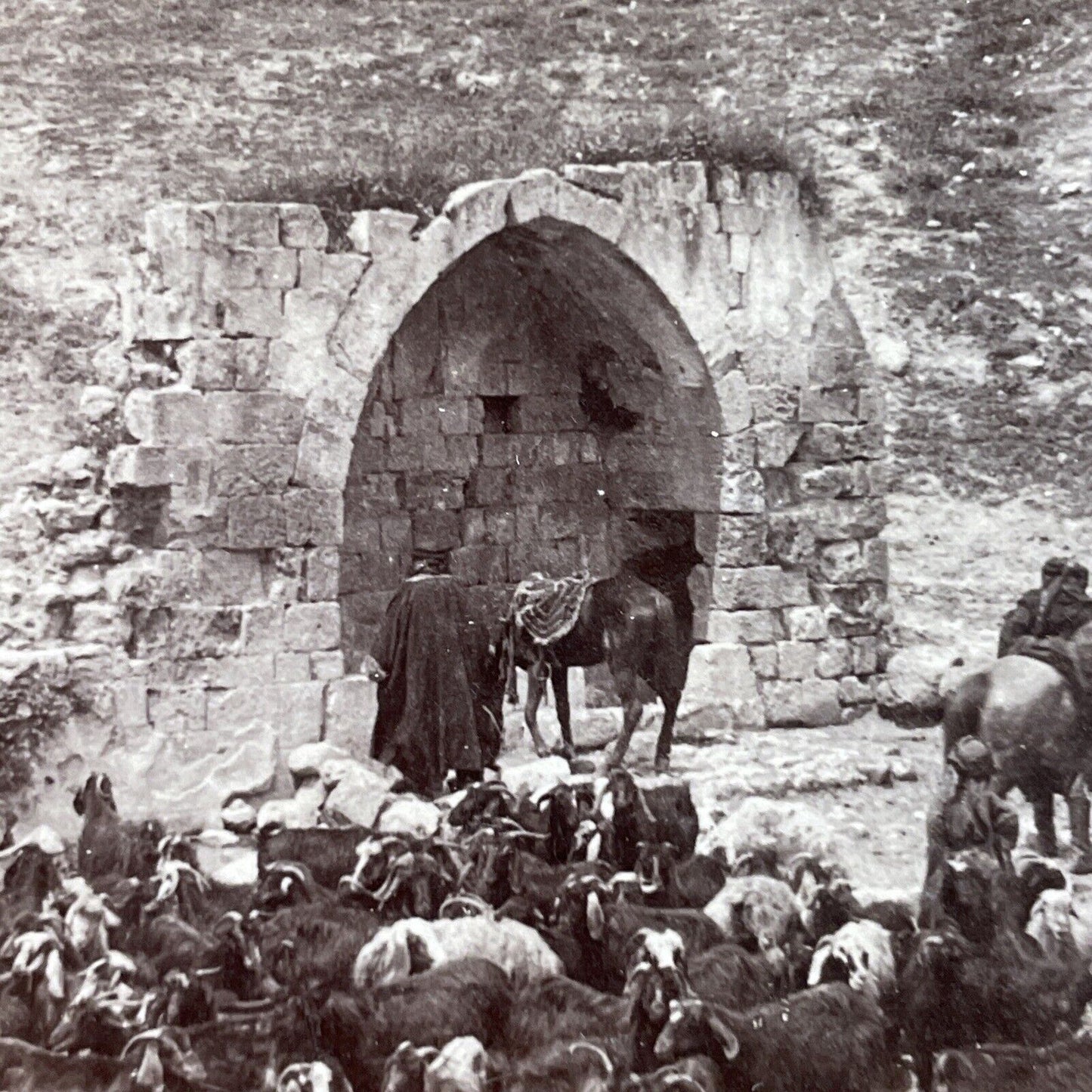 Antique 1896 Fountain Of The Apostles Jericho Israel Stereoview Photo Card P3889