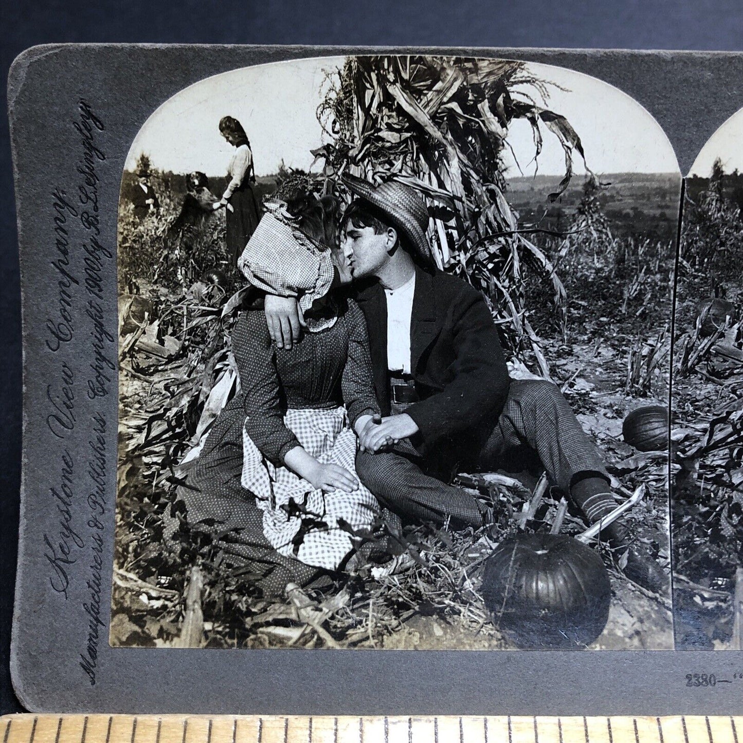 Antique 1900 Teenage Love In Pumpkin Field Kiss Stereoview Photo Card P1990