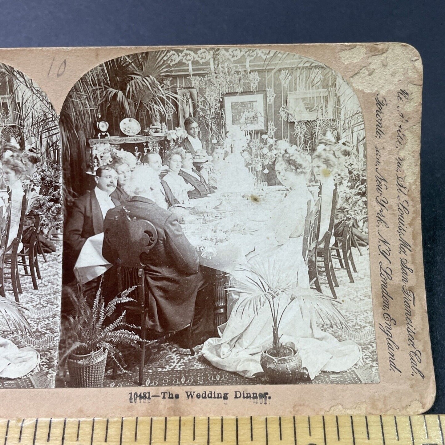 Antique 1901 Formal Victorian Wedding Dinner Stereoview Photo Card P2914