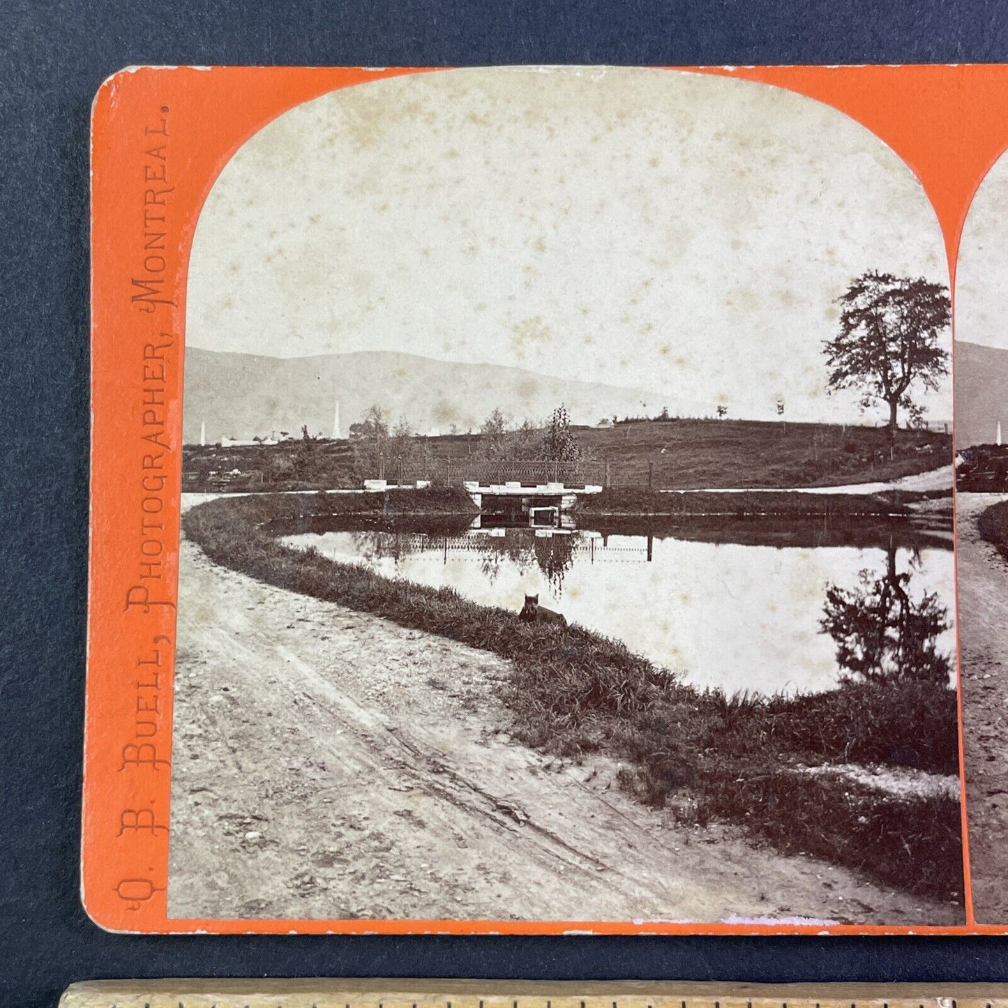 Dellwood Cemetery Manchester Vermont Stereoview O.B. Buell c1860s Y2546