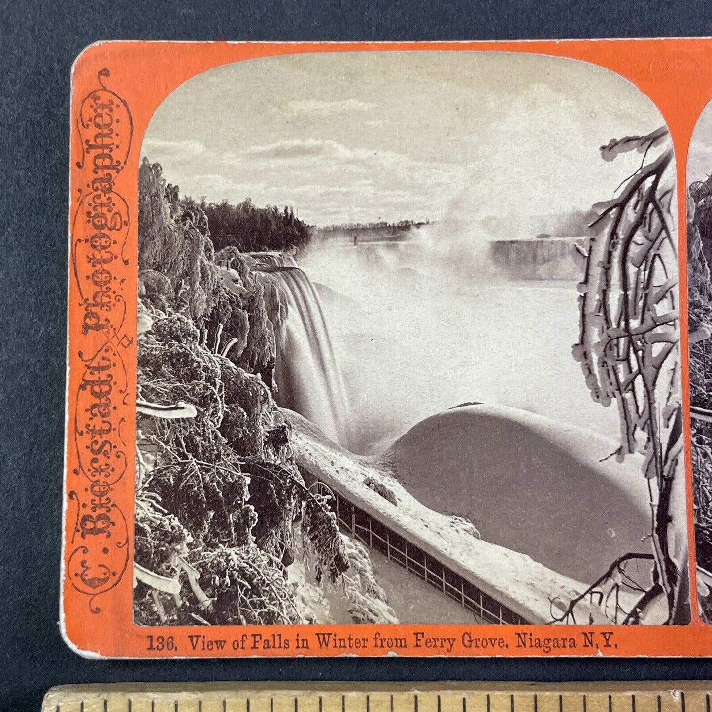 Ferry Grove Staircase Niagara Falls Stereoview Charles Bierstadt c1870s Y1842
