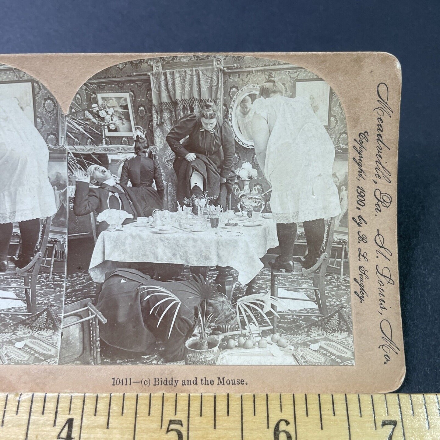 Antique 1900 Women In Terror Over Mouse Stereoview Photo Card P2857