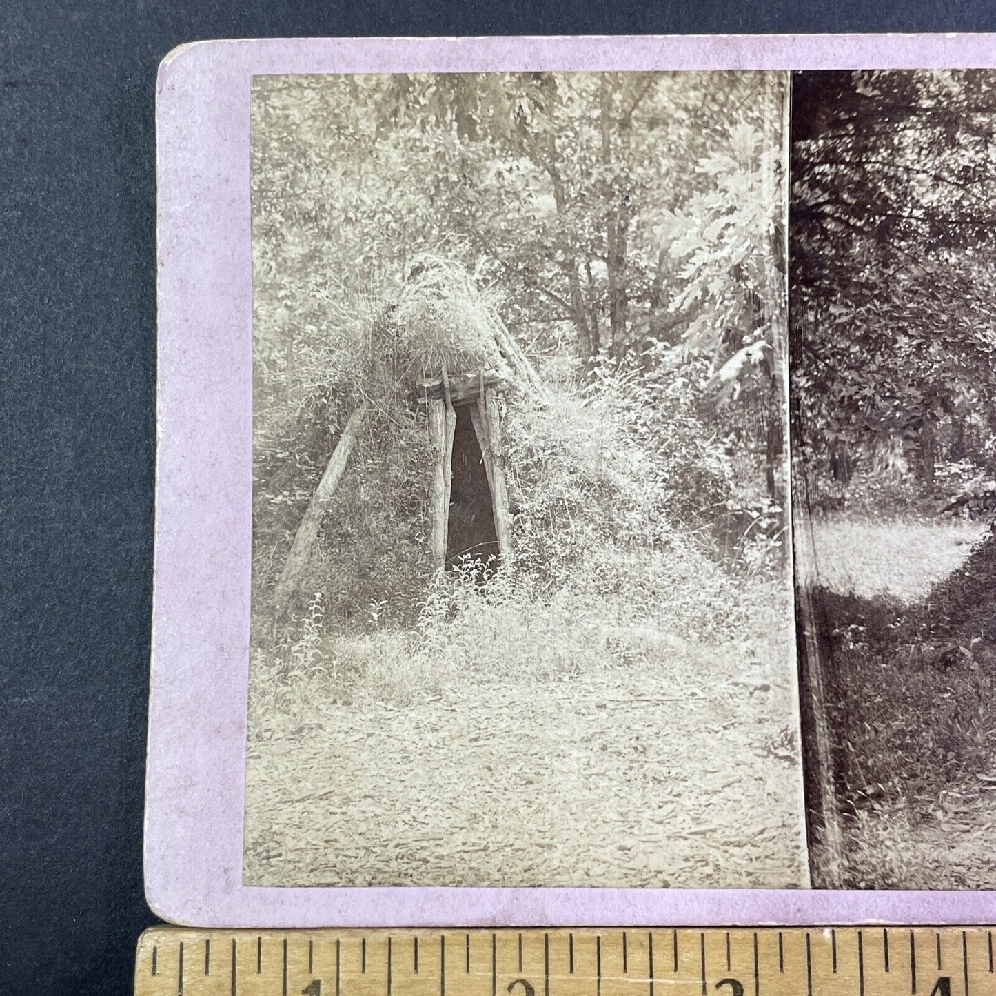 Overgrown American Indian Hut Stereoview Yosemite Charles Weed Antique 1860 X838