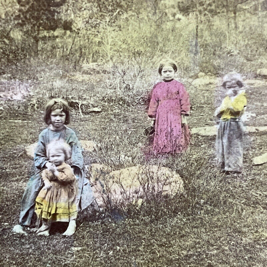 Antique 1870s Shoshone Native American Indian Girls Stereoview Photo Card P4772