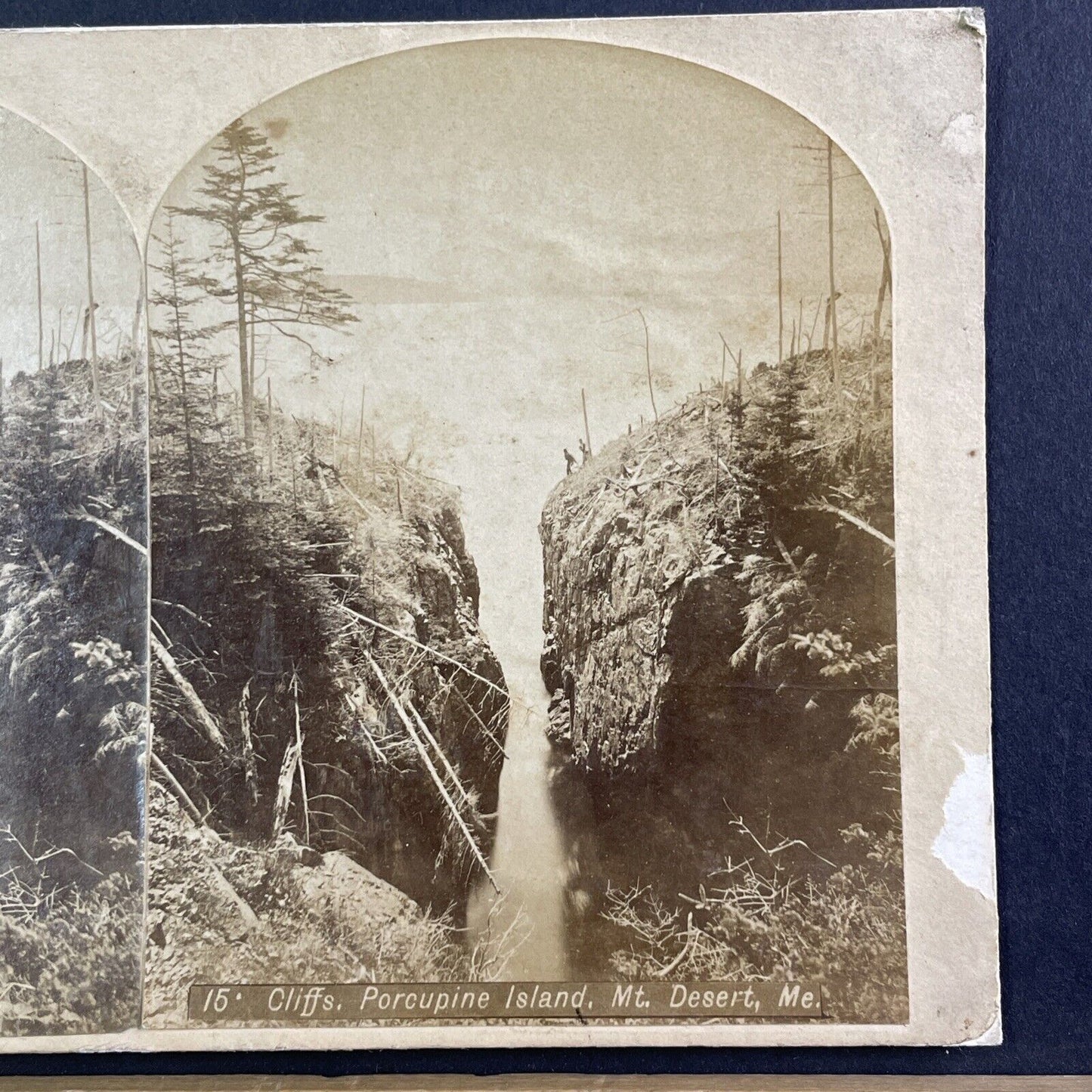 Porcupine Islands Cliffs Bar Harbor Maine Stereoview Rare Antique c1870s Y167