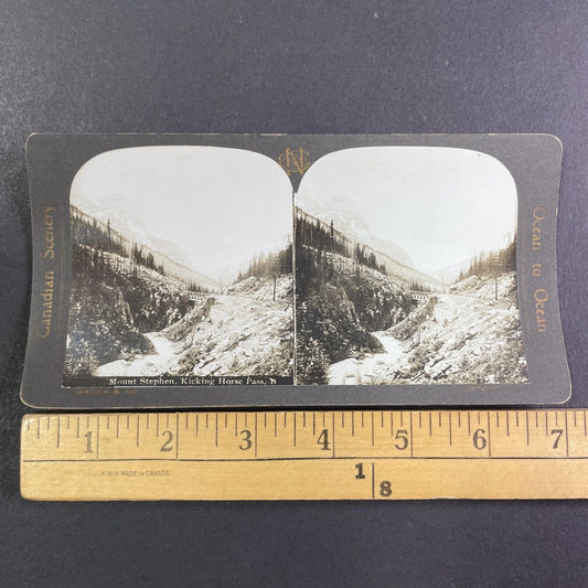Kicking Horse Pass Train Bridge Alberta Stereoview CPR Rail Views c1905 Y2122