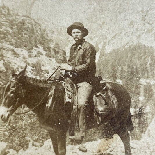 Antique 1895 Sierra Nevada Mountains California Stereoview Photo Card P4952