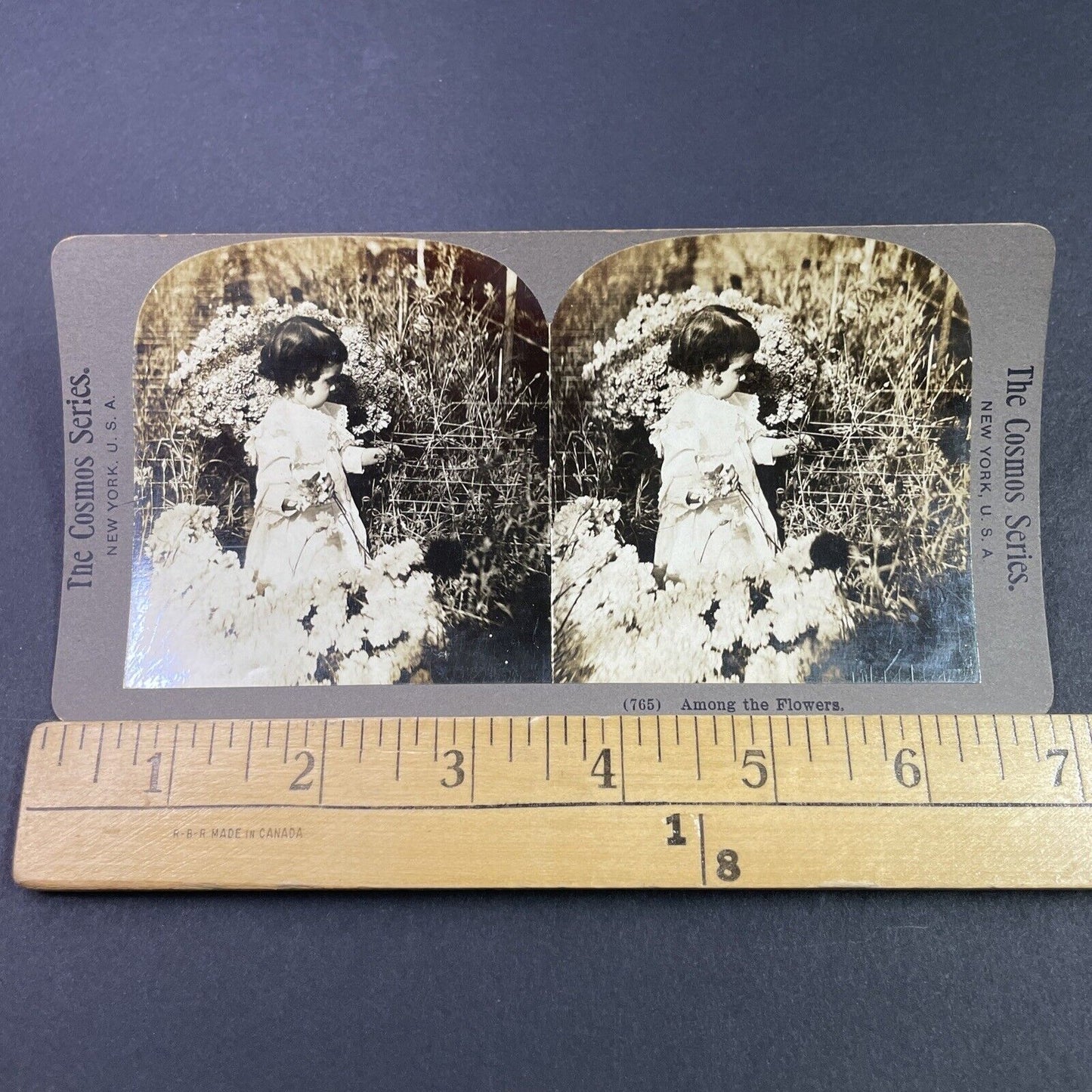 Antique 1900 Young Girl Picking Mums Carnations Stereoview Photo Card P3356