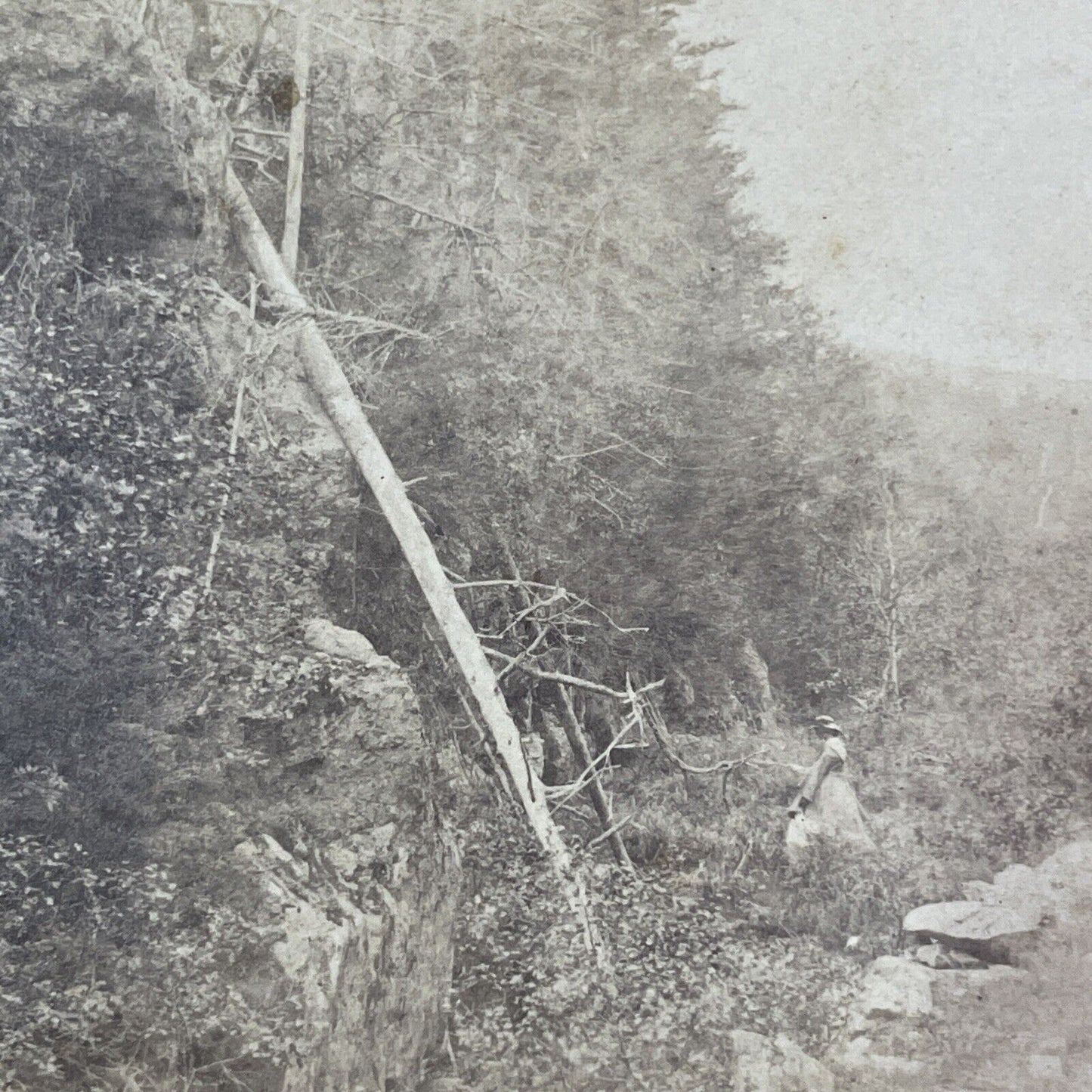 Entrance To Franconia Notch NH Stereoview Charles Bierstadt Antique c1870 X981