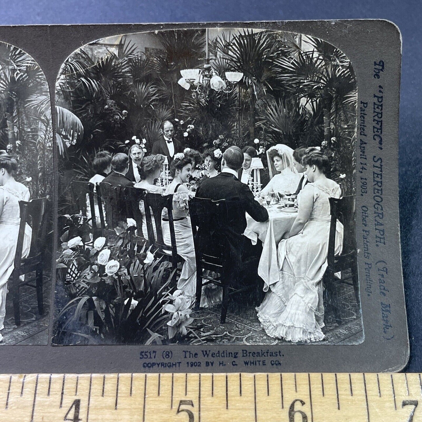 Antique 1902 Victorian Wedding Dinner Stereoview Photo Card P2949