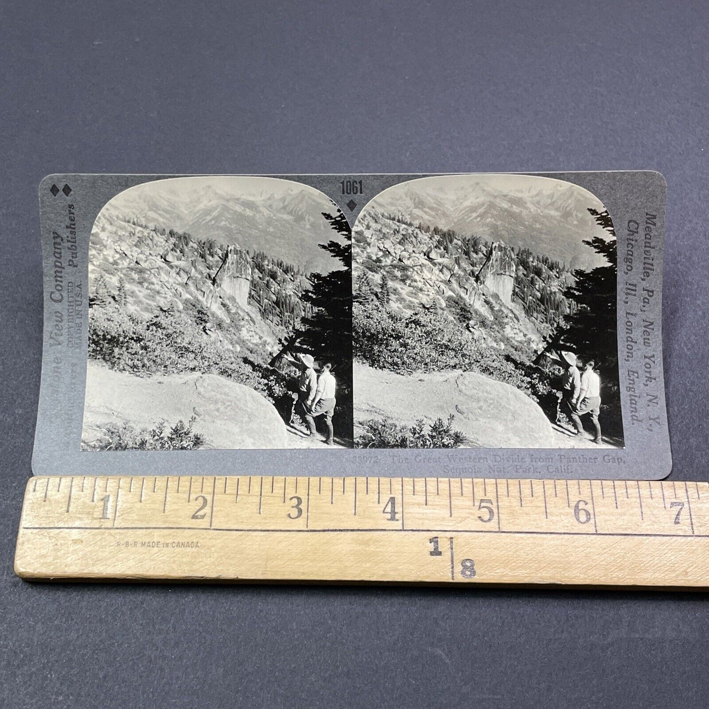 Antique 1910s Panther Gap Sequoia National Park CA Stereoview Photo Card V2047